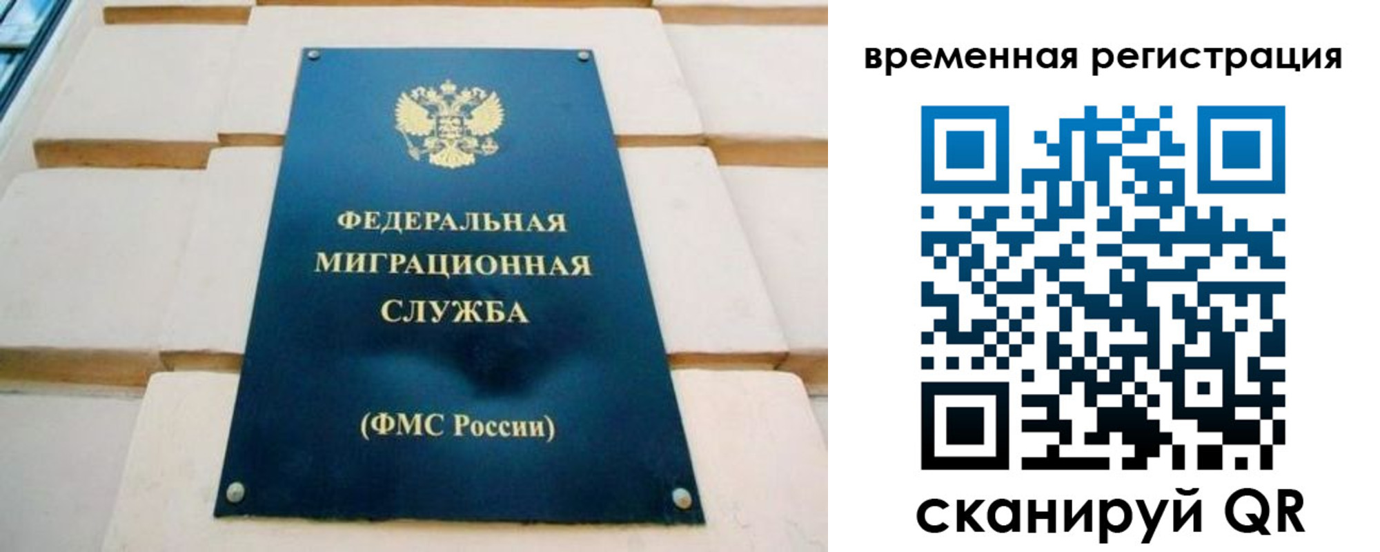 прописка гарантия в Сураже